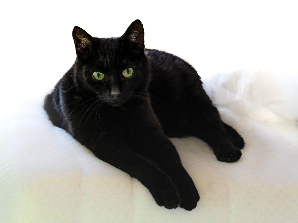 Photograph by Татьяна Сытова