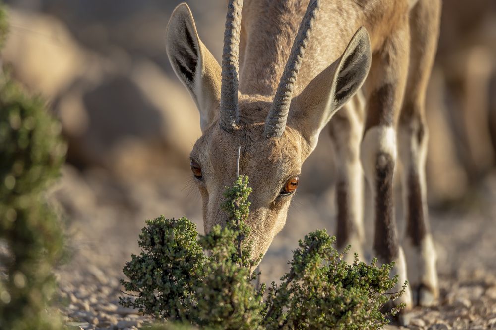 Фотография автора Nikolay Tatarchuk