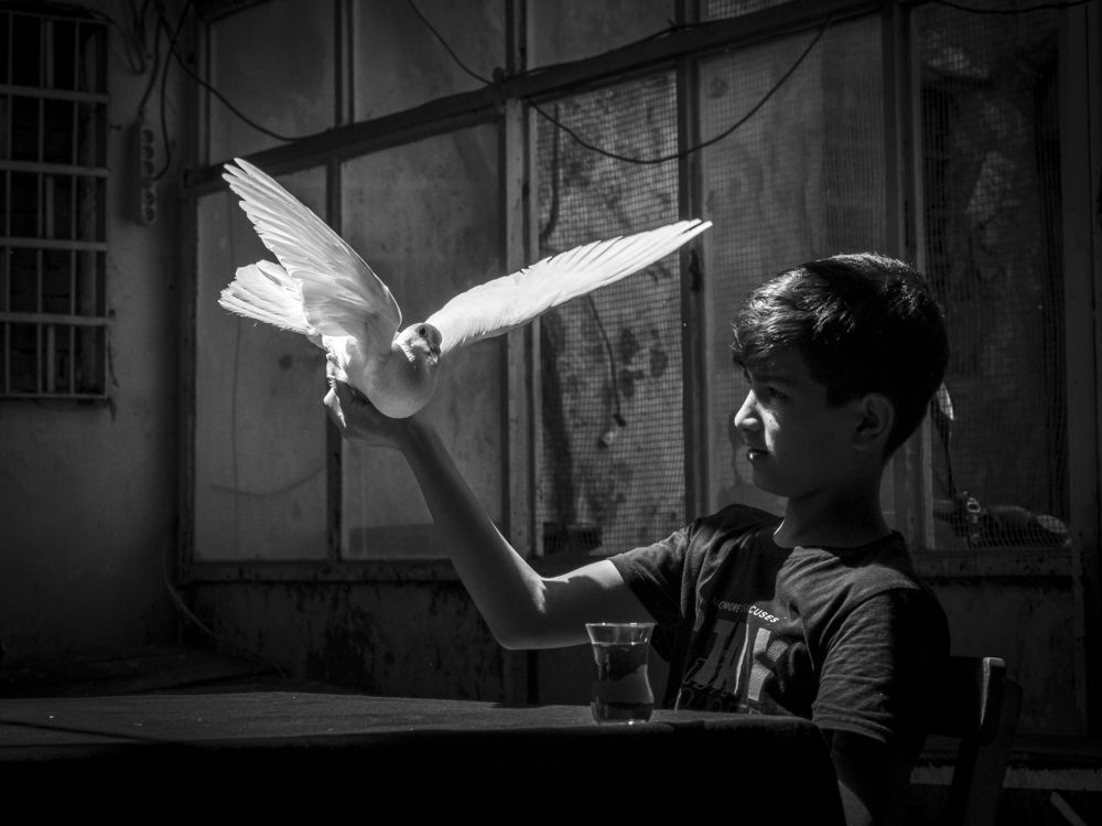 Фотография автора Aylin Turnator