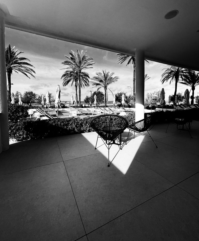 Photograph by Vera Notovich