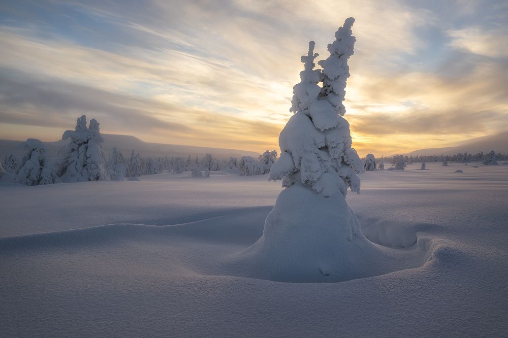 Photograph by Sergey Altushkin