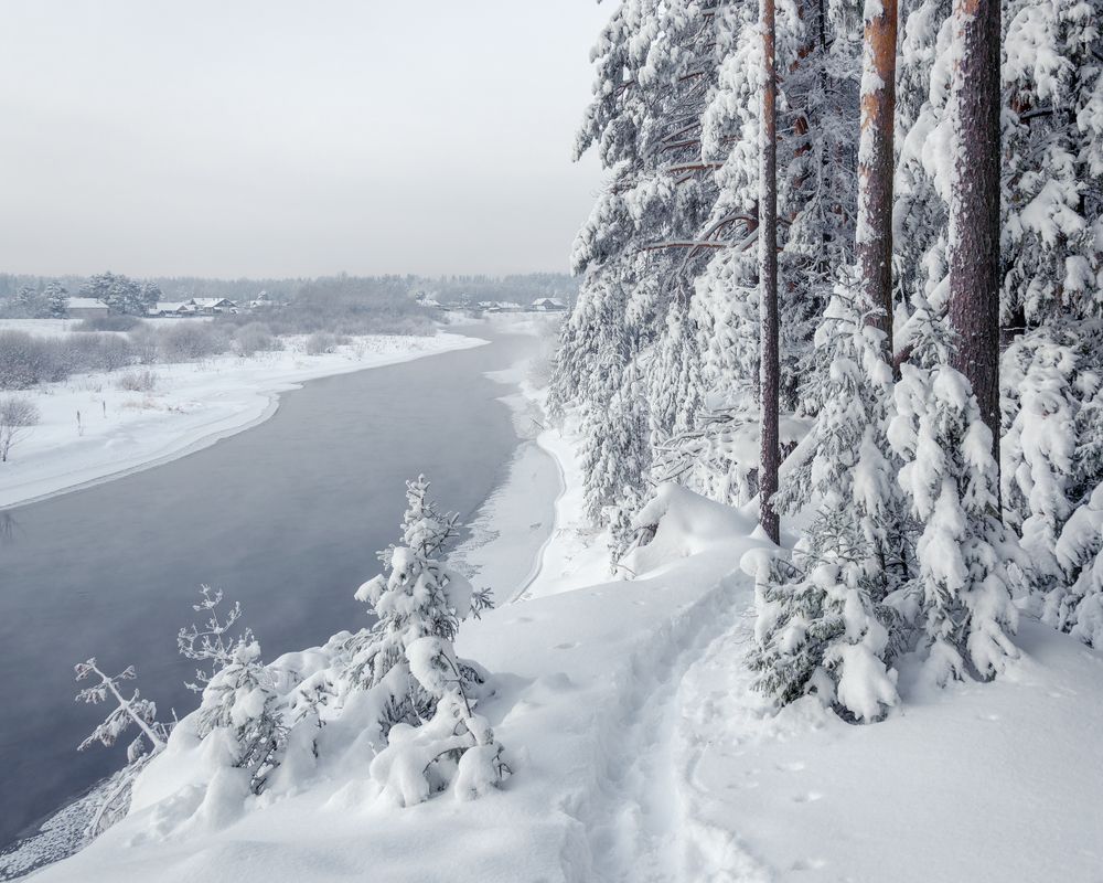 Photograph by Архипкин Александр