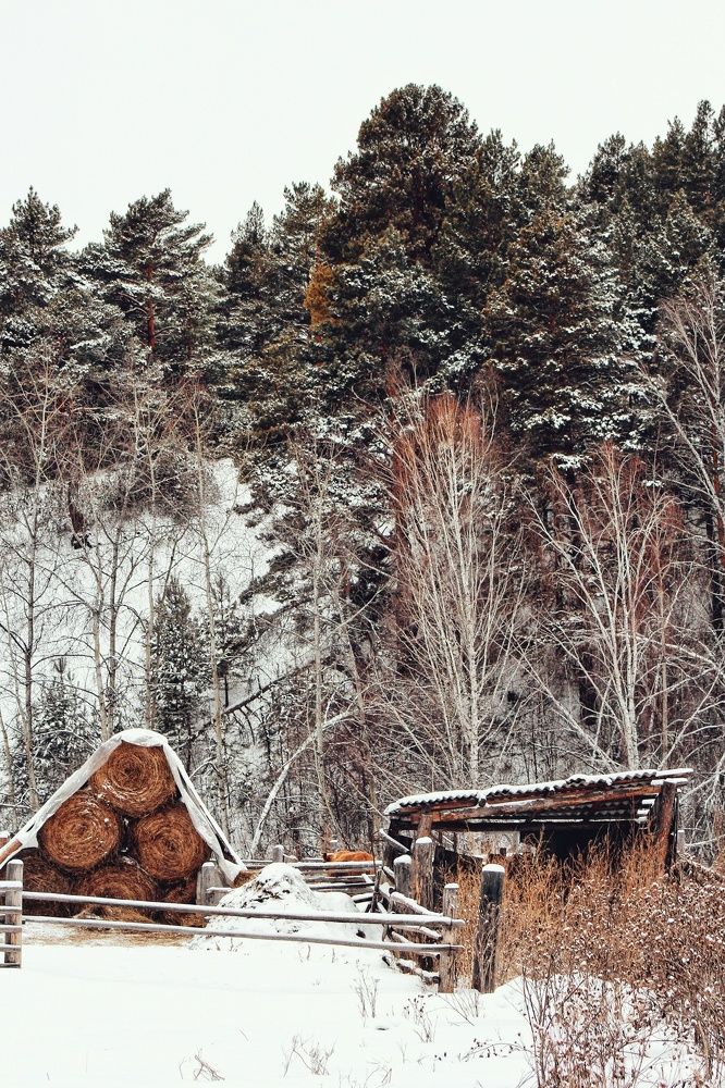 Photograph by Наталья Горбачева