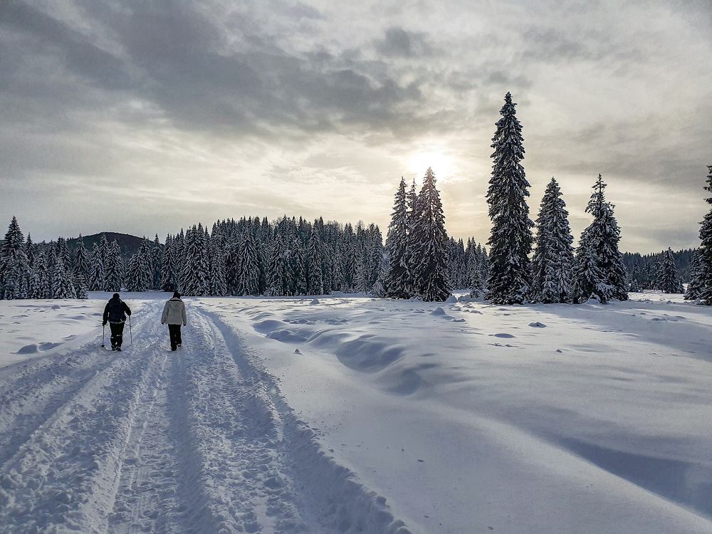 Photograph by George Alexandru Ghiuro