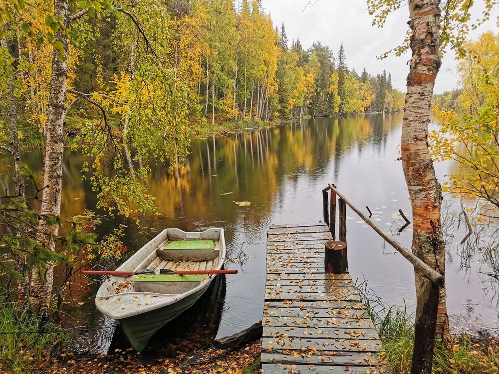 The beauty of autumn in Paanajarvi National Park