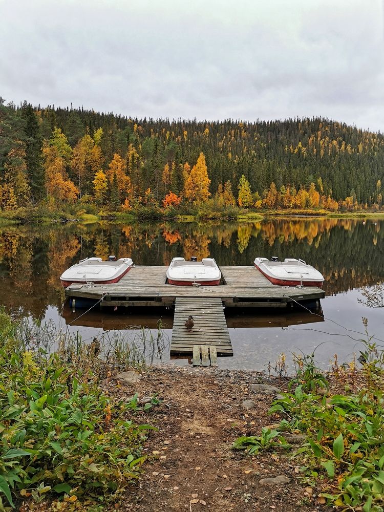 Autumn serenity in Paanajarvi National Park