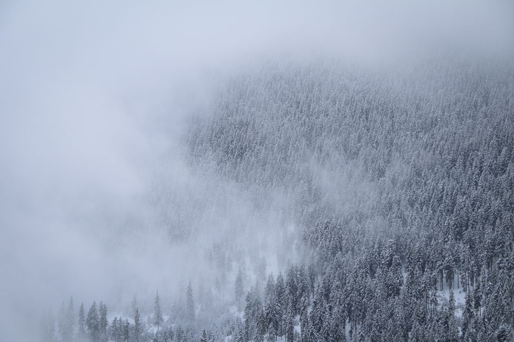 Photograph by George Alexandru Ghiuro