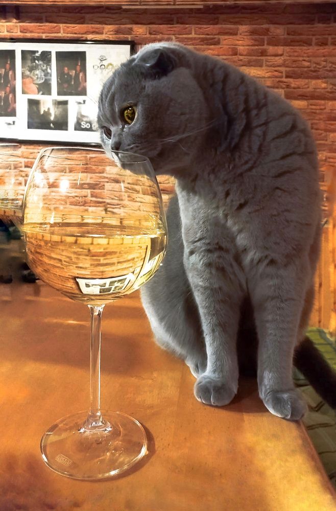 Photograph by Татьяна Сытова