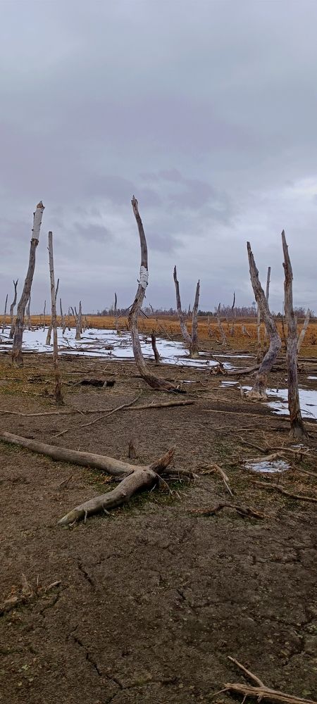 Photograph by Женя Евсеева