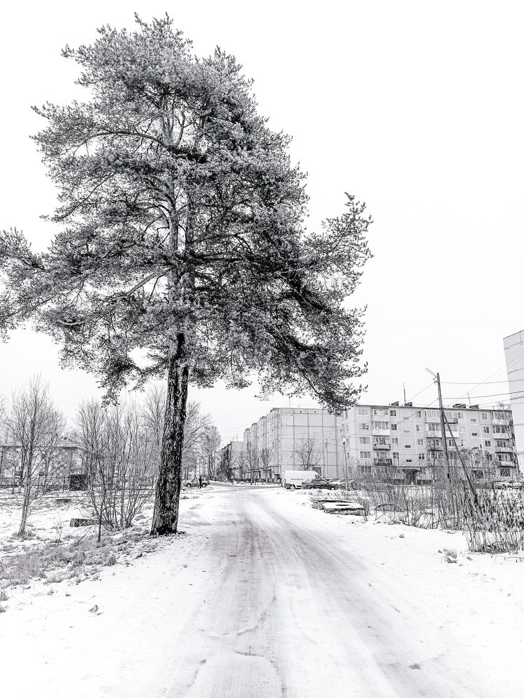 Photograph by Ирина Забродина