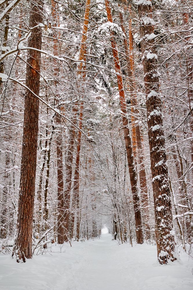 Фотография автора Дмитрий Бродовой