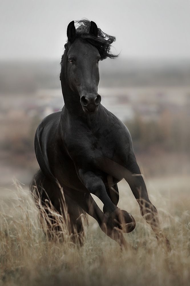 Photograph by Дарья Ералева