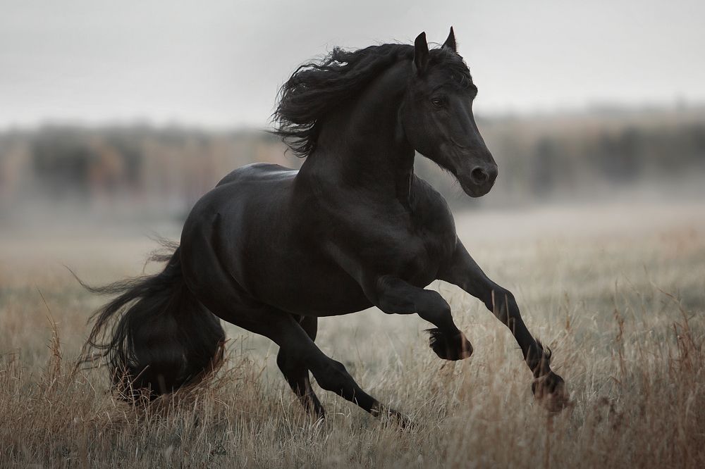 Photograph by Дарья Ералева