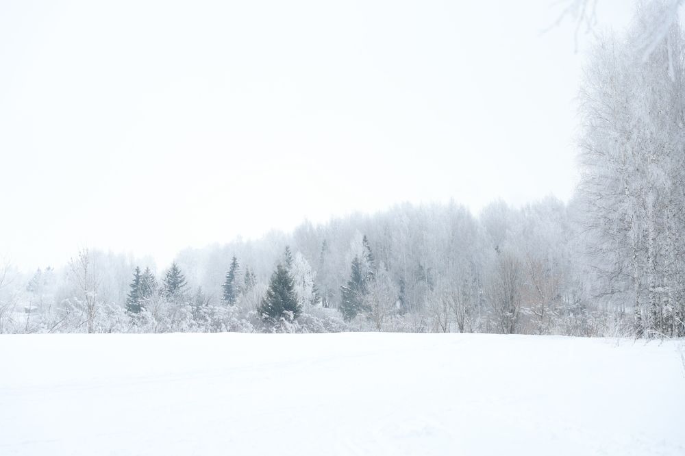 Photograph by Елена Сиднина