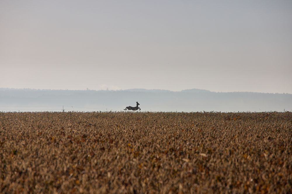 Photograph by Михаил Жиркин