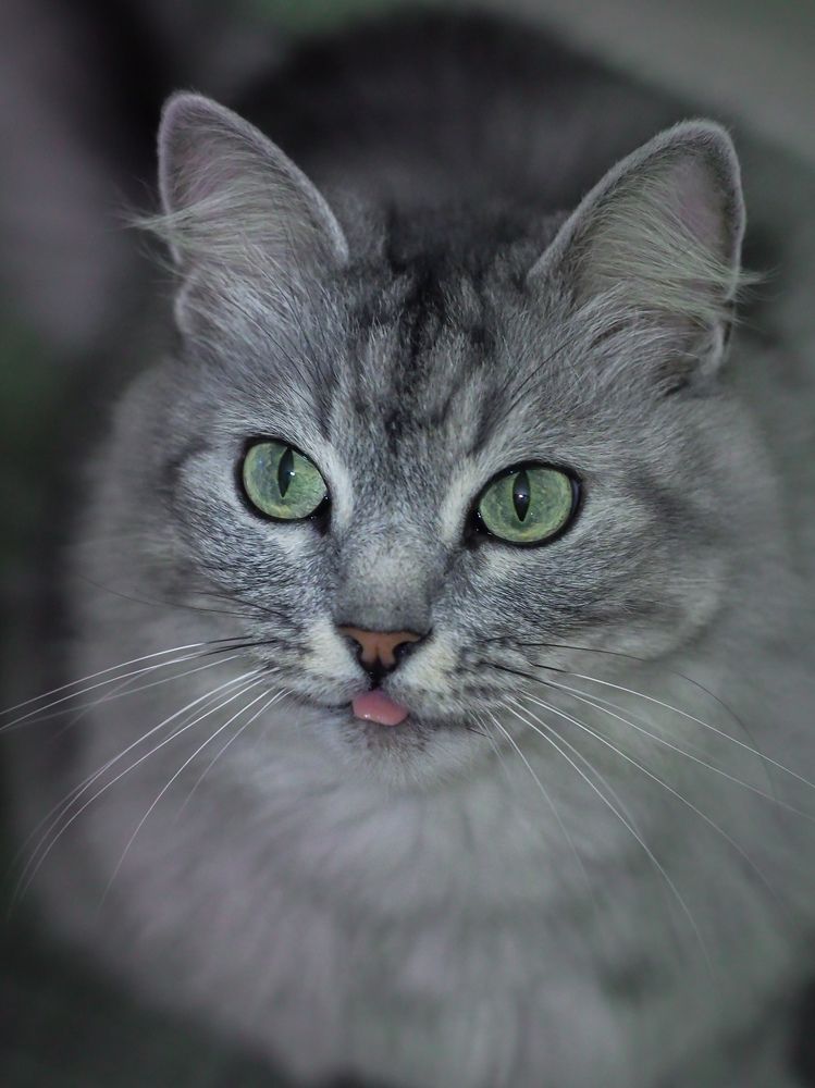 Photograph by Светлана Шибаршина