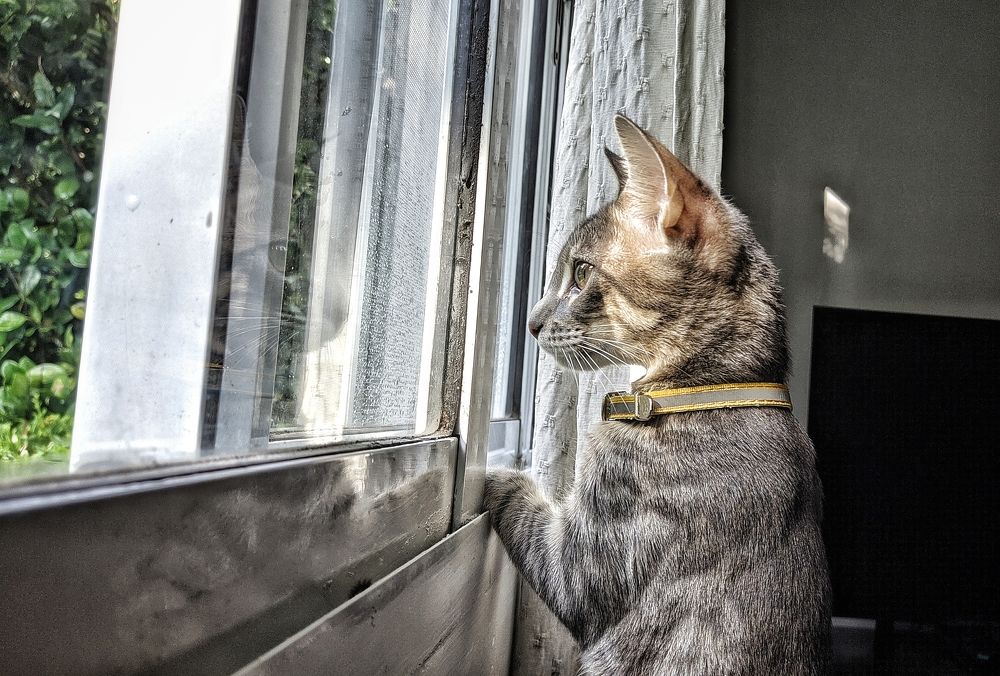 Photograph by Daniela