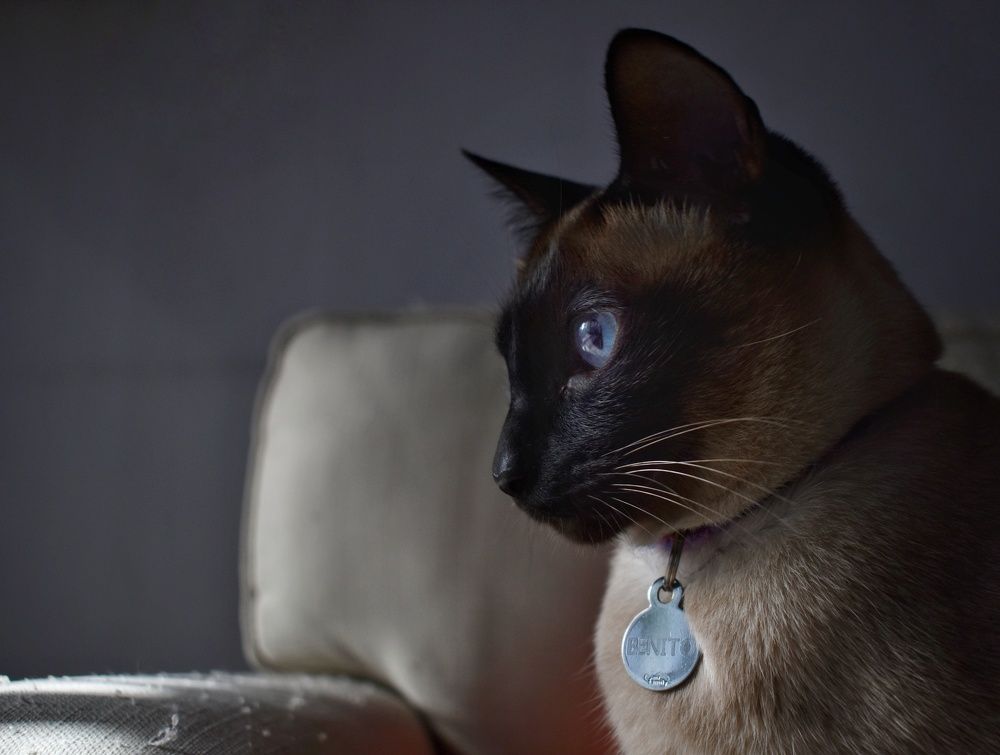 Photograph by Daniela