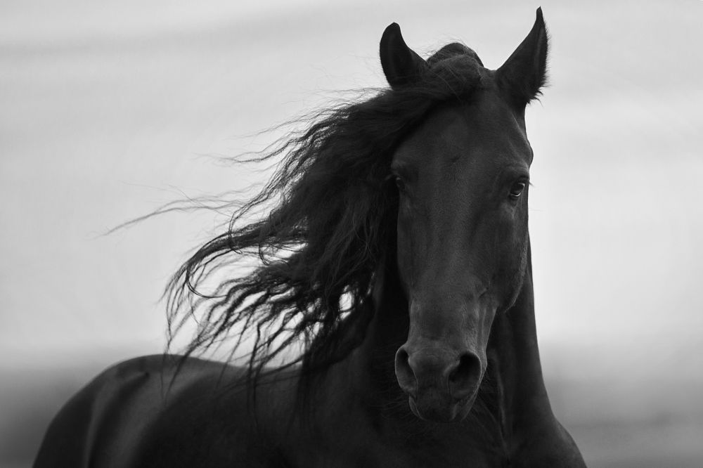 Photograph by Дарья Ералева