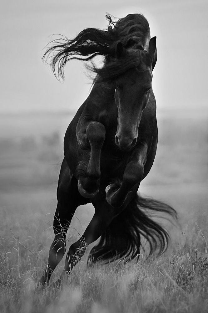 Photograph by Дарья Ералева