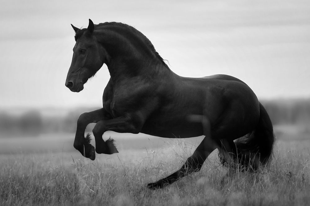 Photograph by Дарья Ералева