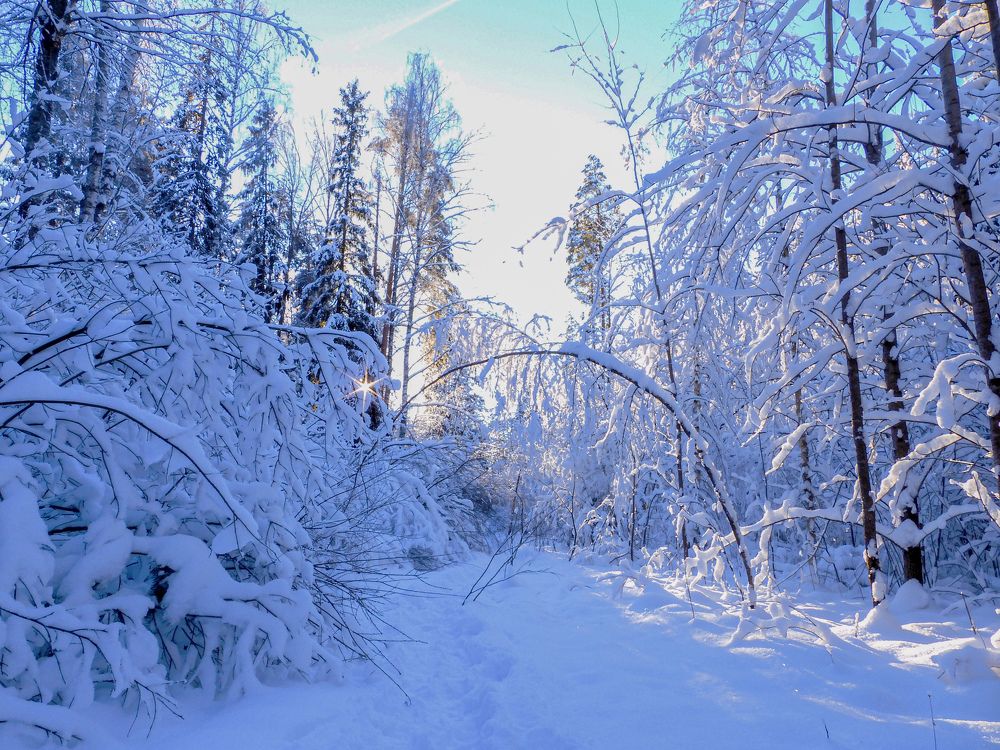 Photograph by Игорь Смирнов