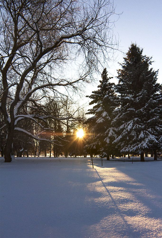 Фотография автора sveta