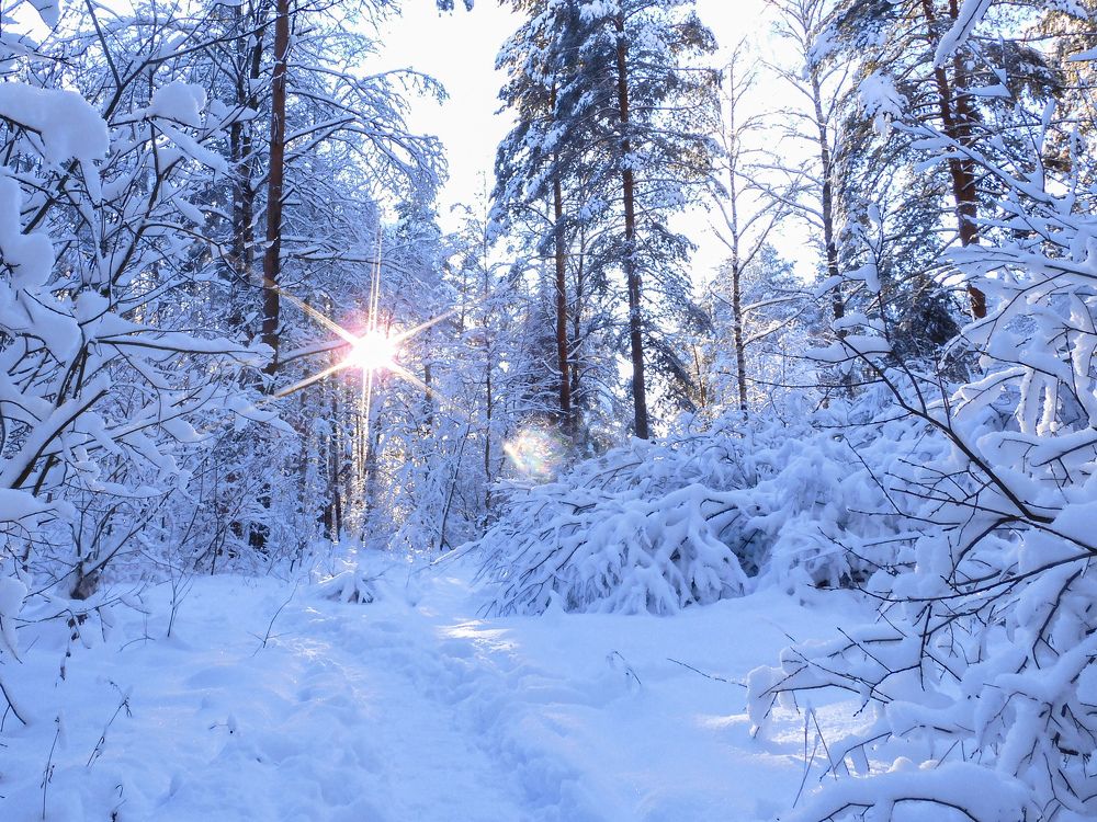 Photograph by Игорь Смирнов