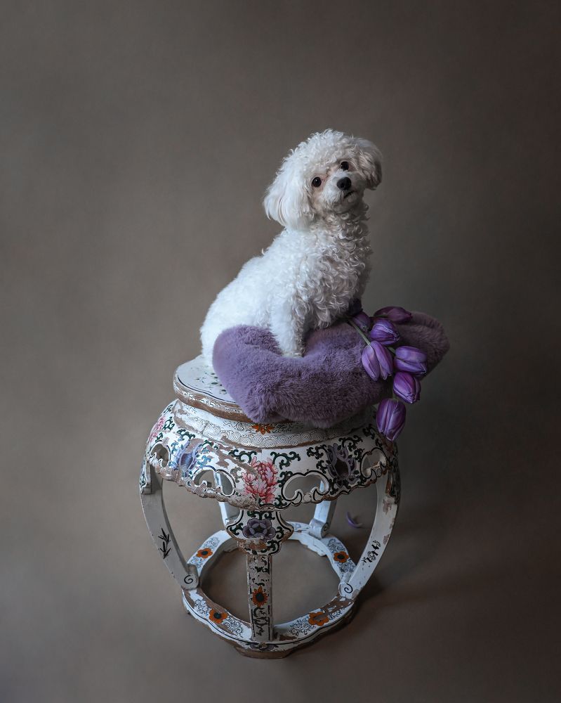 Photograph by Elena Bax