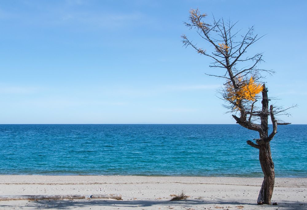 Photograph by Михаил Авдеев