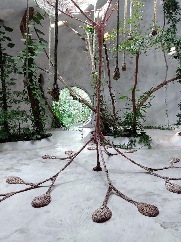 Photograph by José Luis Mendoza Machado