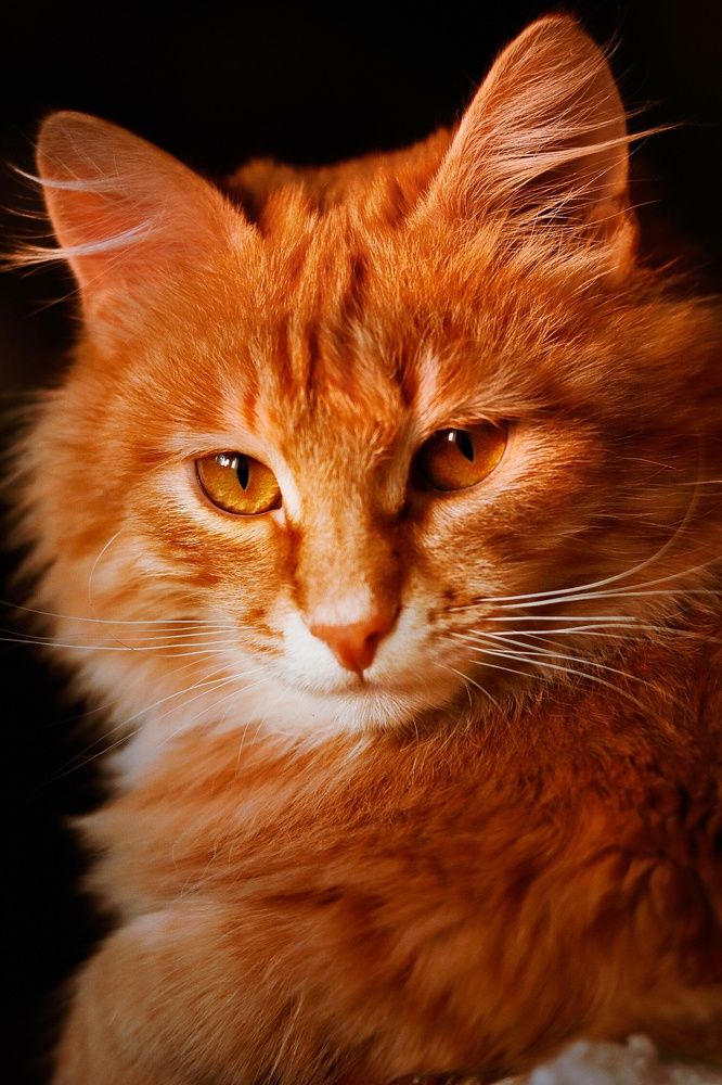 Photograph by Анна Дубинина