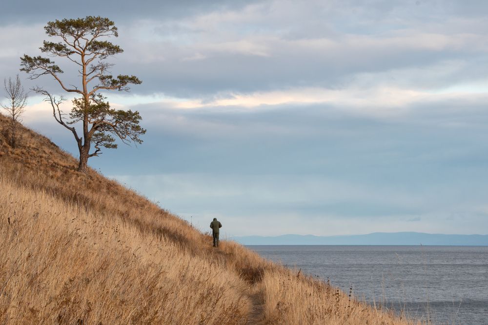 Photograph by Михаил Авдеев