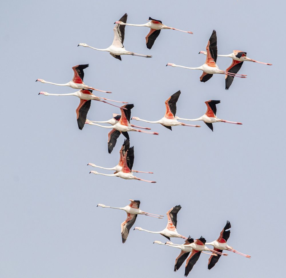 Photograph by Валентина Лопаткина