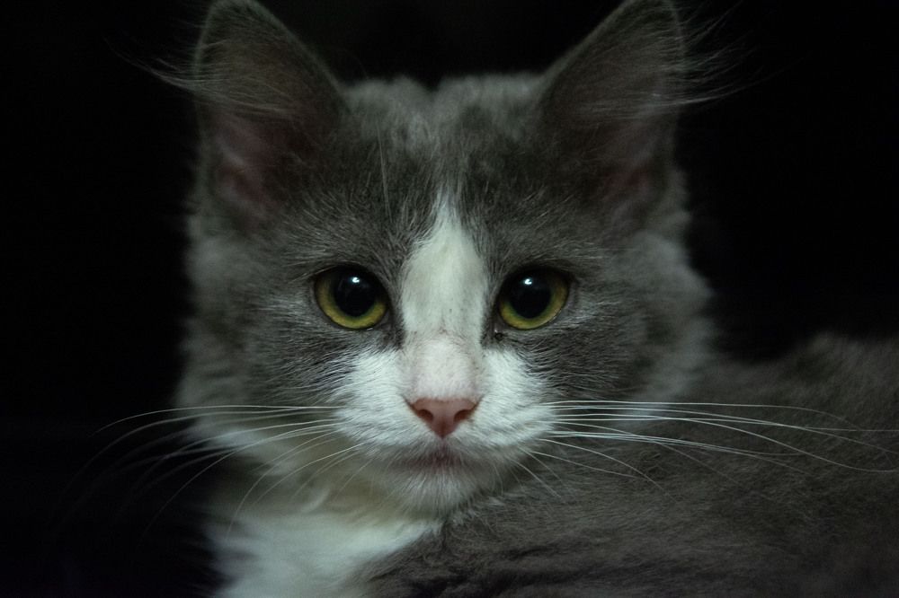 Photograph by Вера Волкова