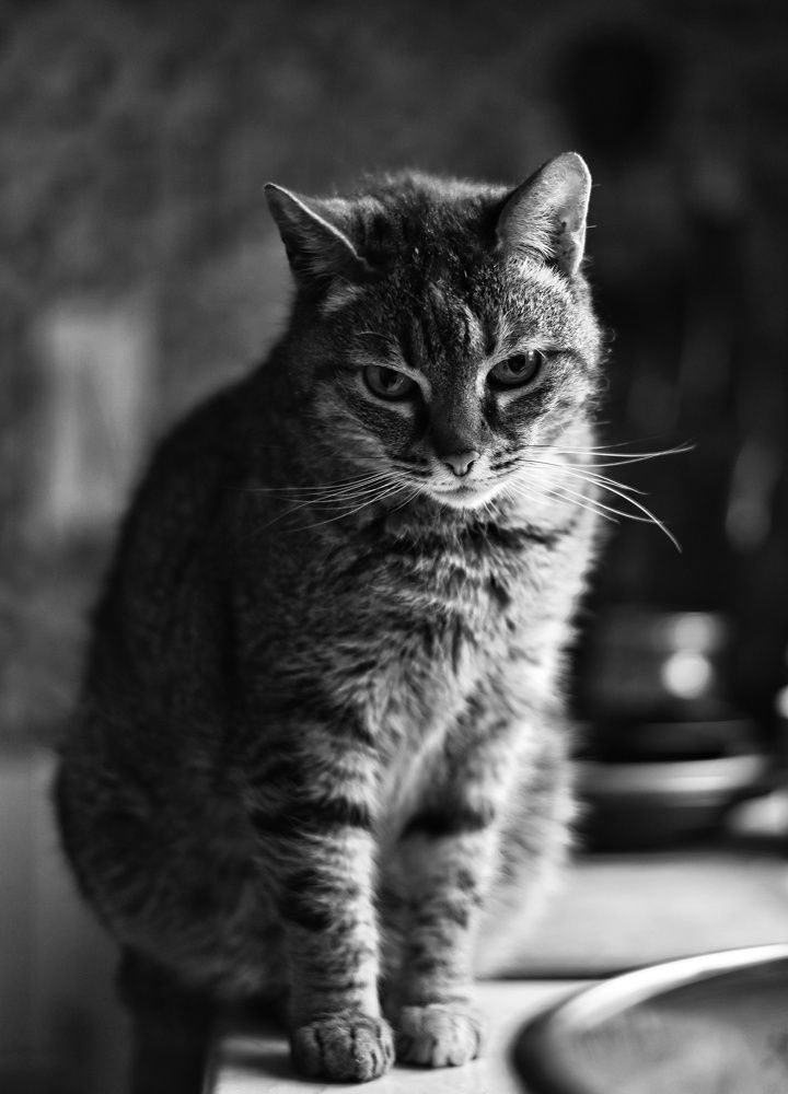 Photograph by Аряева Анна