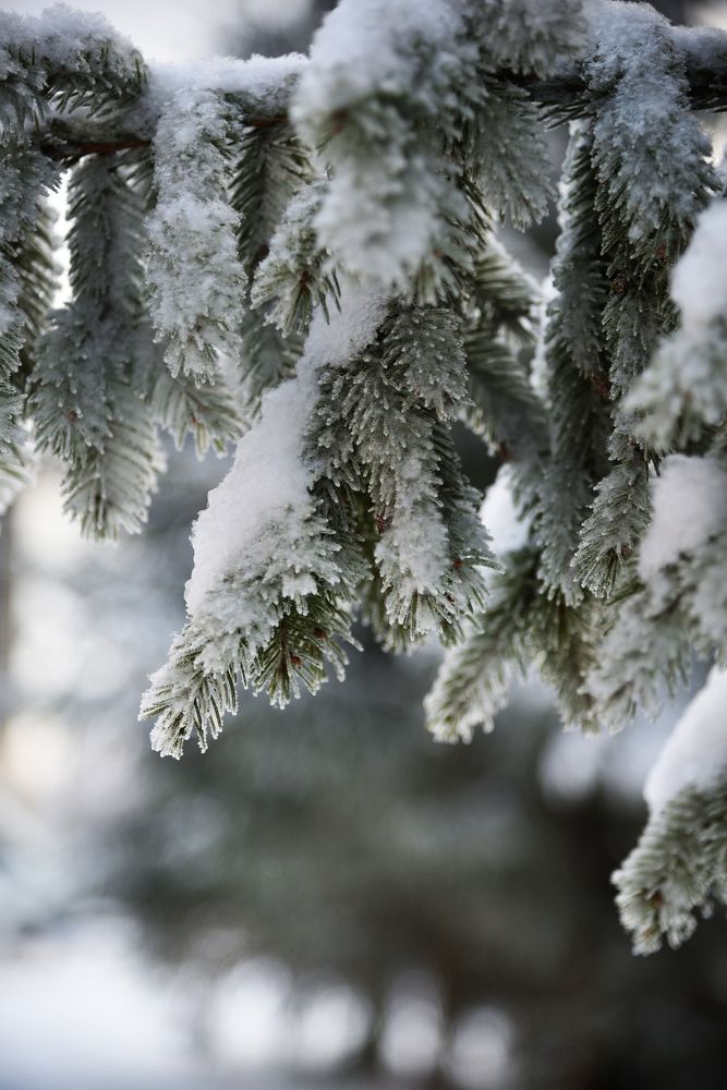 Photograph by Оксана Астрова