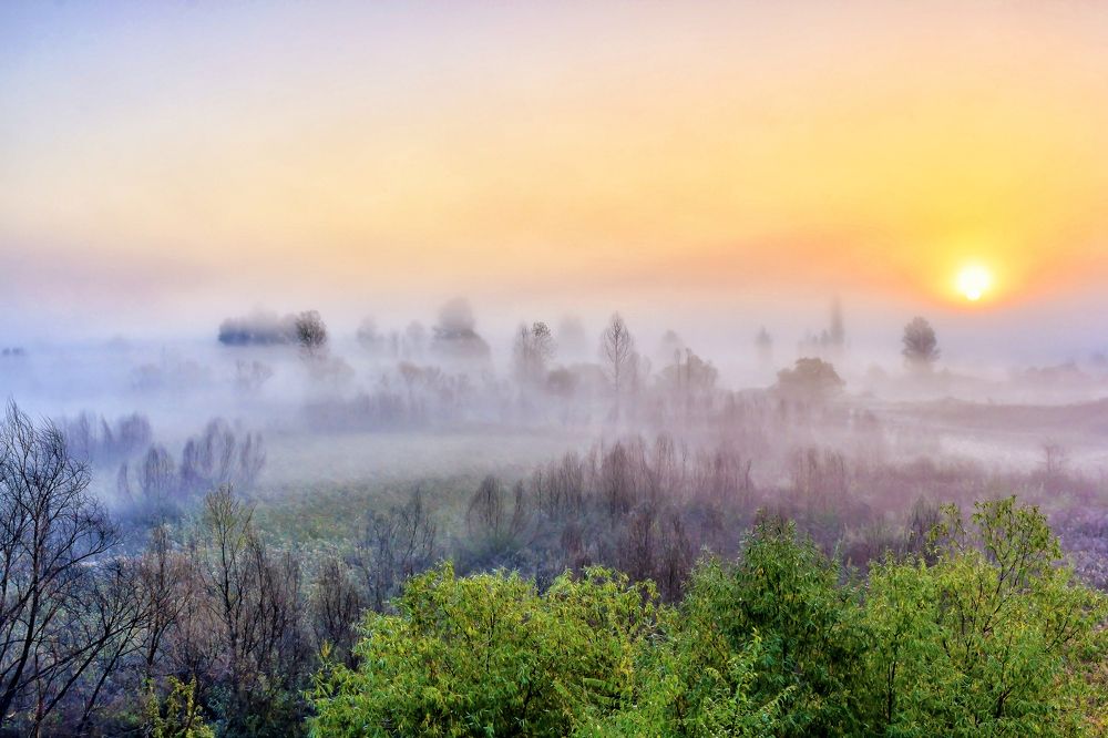 И приходит рассвет..