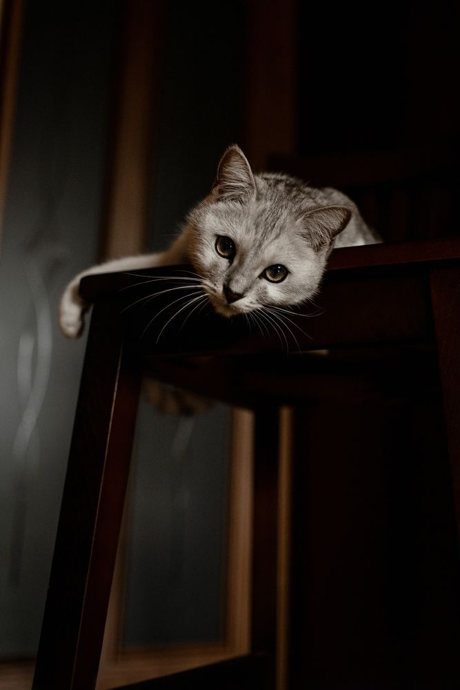 Photograph by Алёна Попова