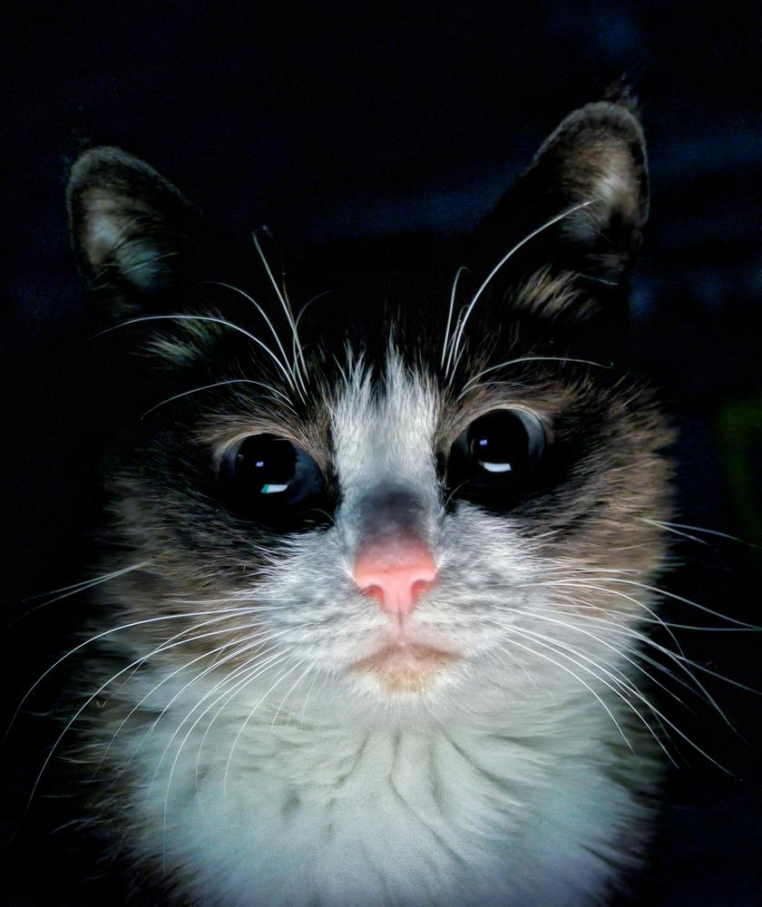 Photograph by Виктория Лобанова