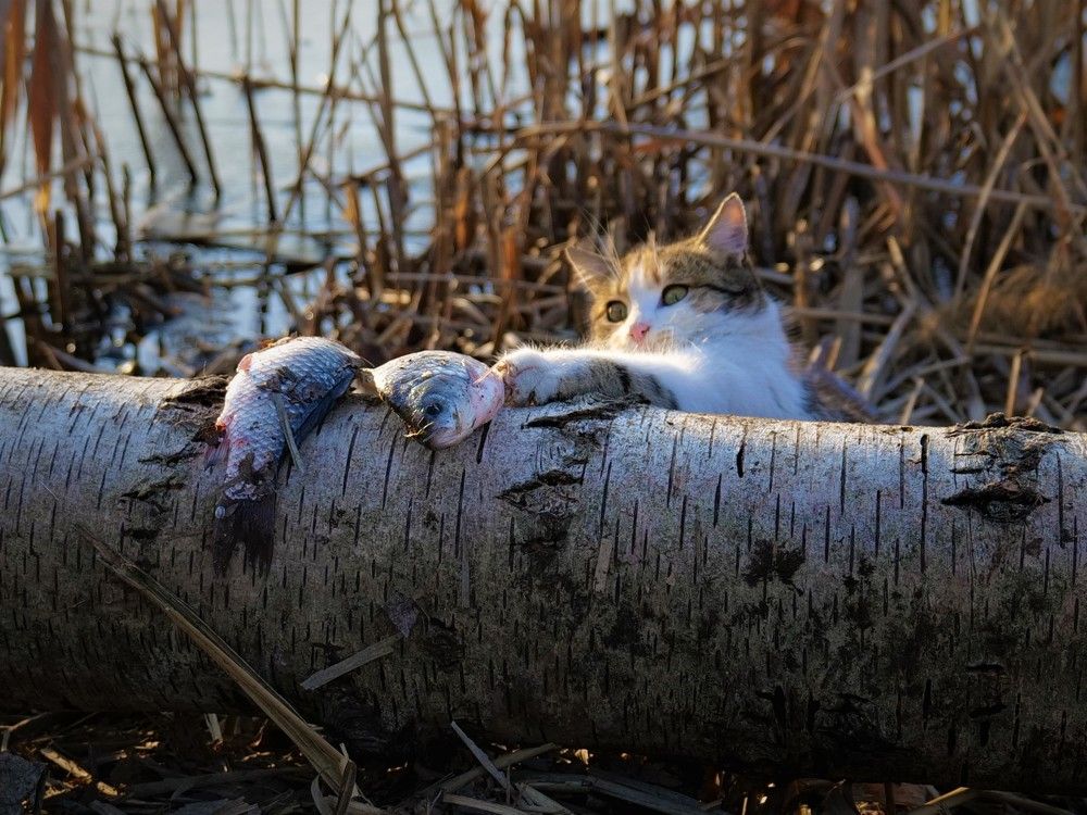 Photograph by Оксана Архипова