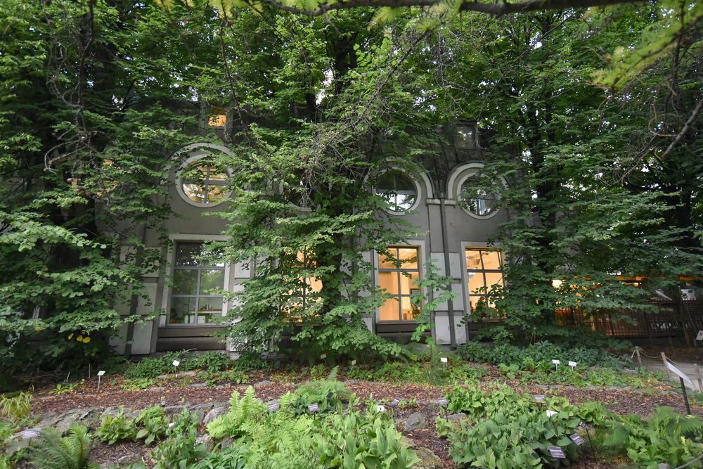 Photograph by Пётр Артемьев