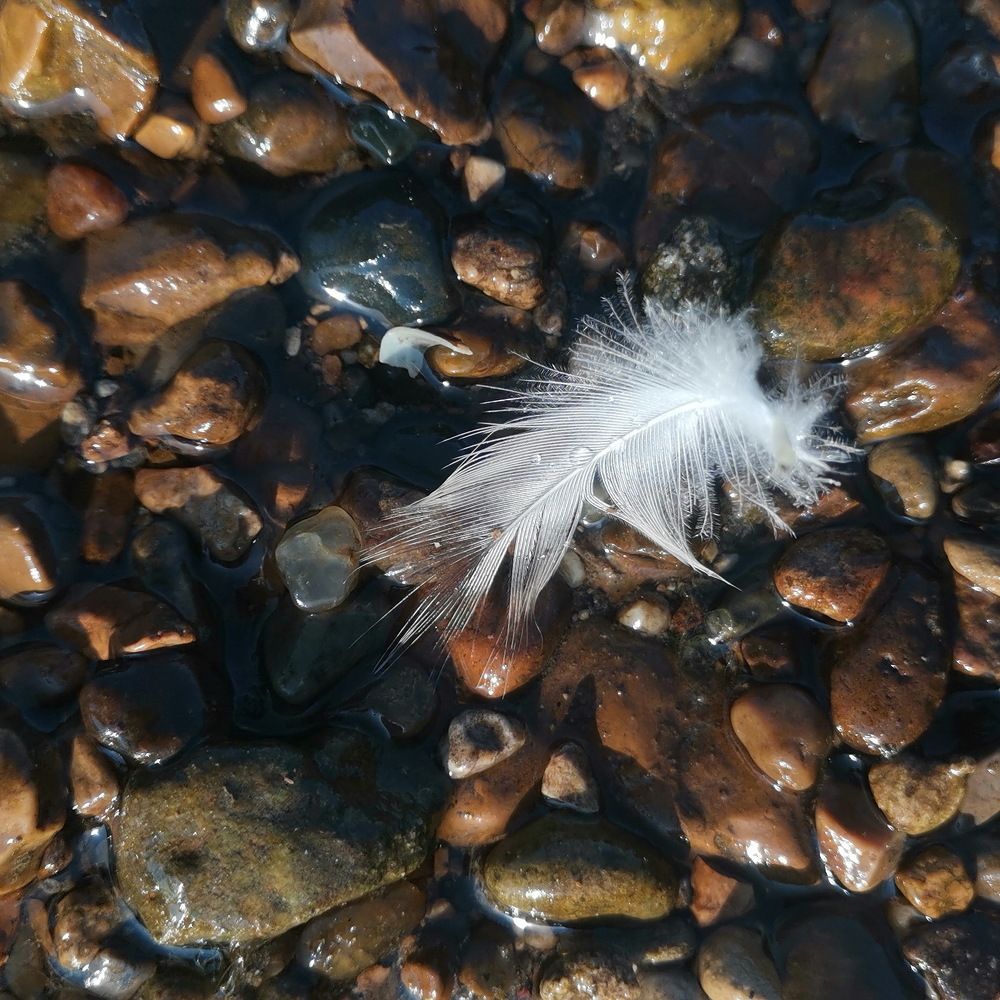 Фотография автора Игорь Винокуров