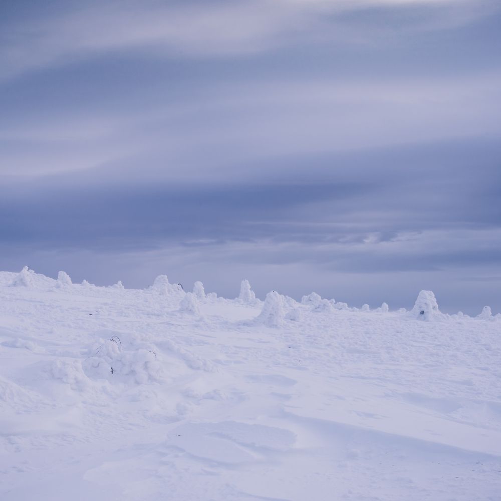 Photograph by Михаил Авдеев