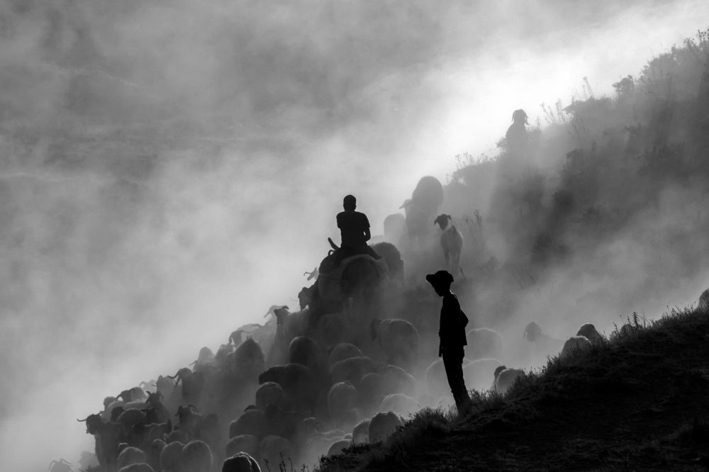 Фотография автора Aylin Turnator