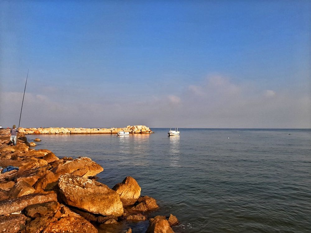 Photograph by Osama Atef Khaleel