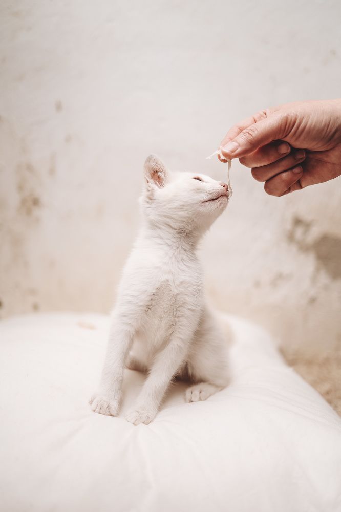 Photograph by Alma González