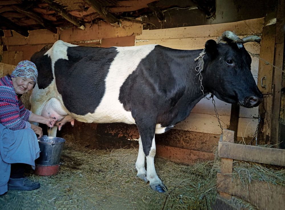 Photograph by Нина Будникова