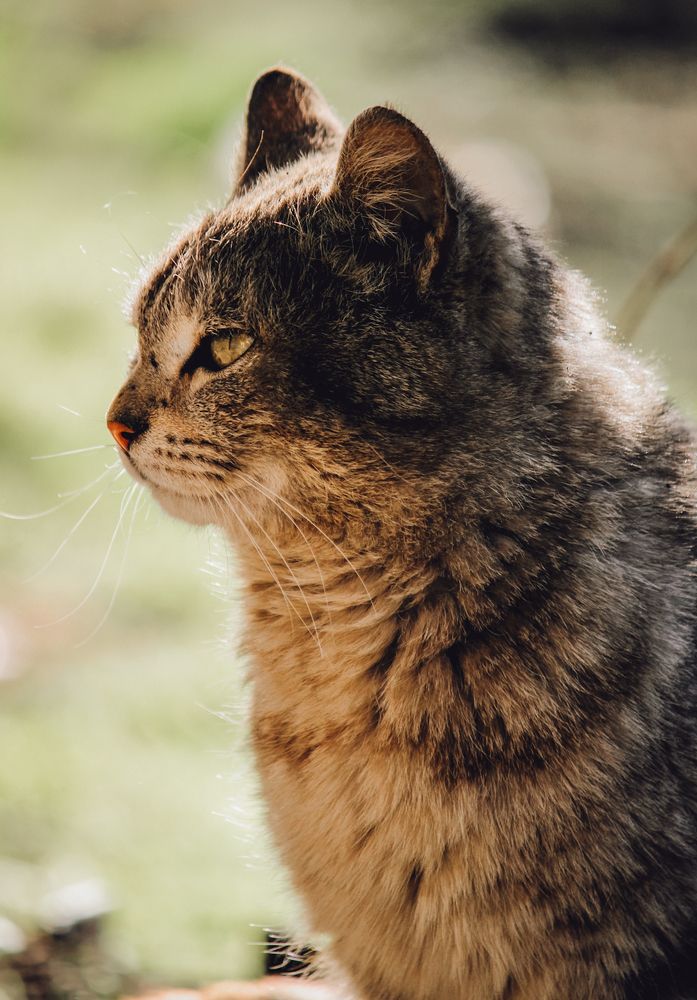 Photograph by Ригина Айдель