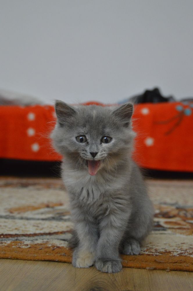 Photograph by Казакевич Варвара